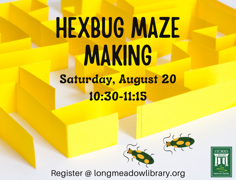 Hexbug Maze Making