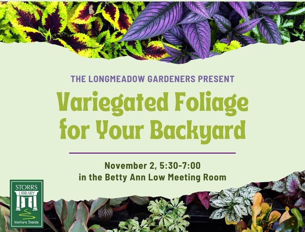 Longmeadow Gardeners Present Variegated Foliage for Your Backyard